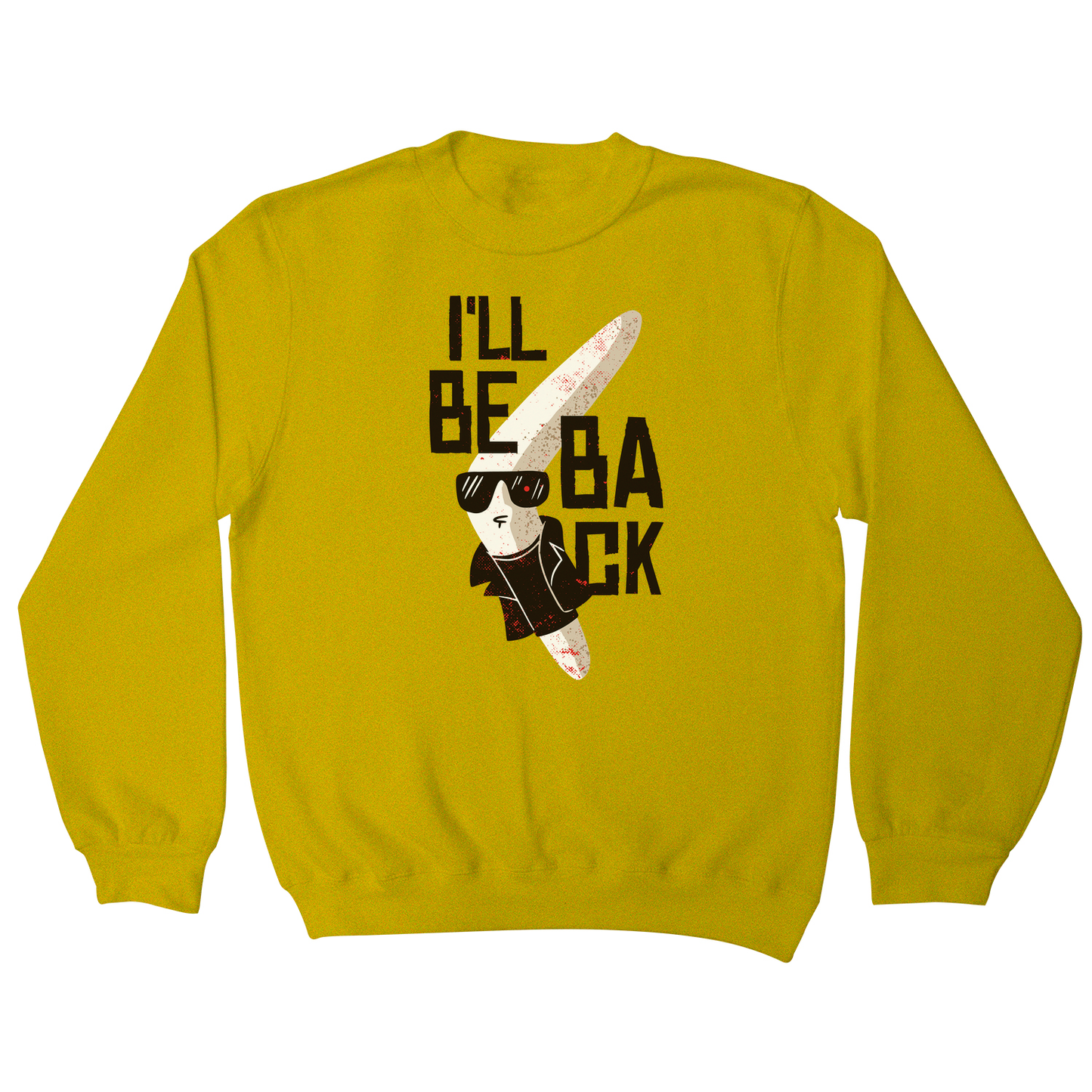 Boomerang funny sweatshirt