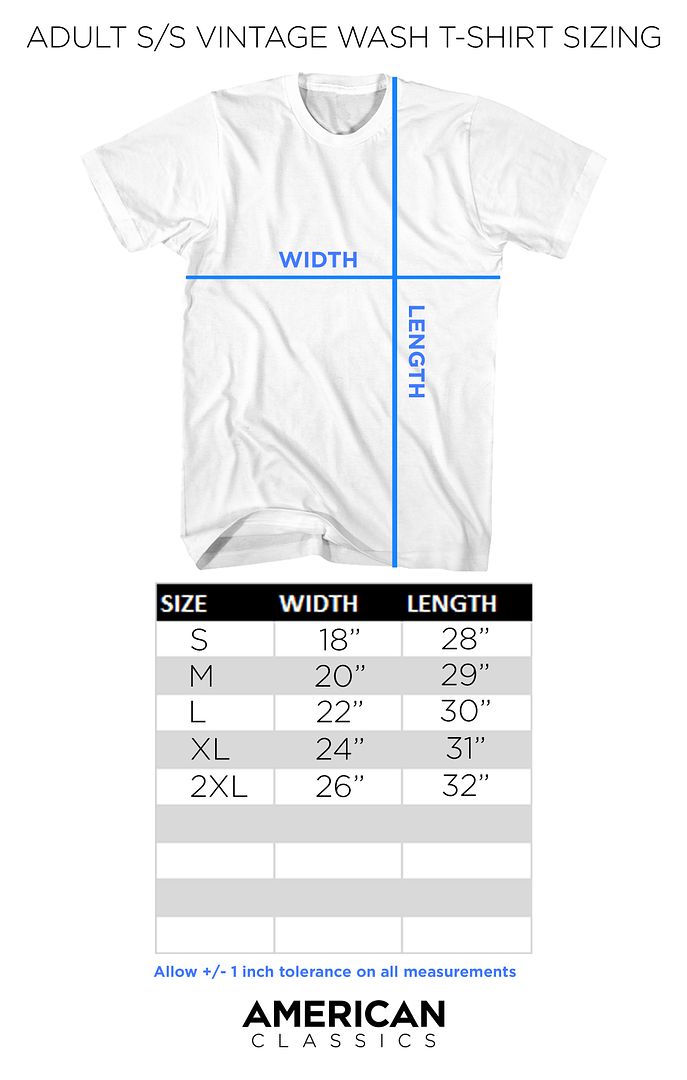 Pink Floyd Distressed Prism Officially Licensed Adult Short Sleeve Vintage Wash T-Shirt