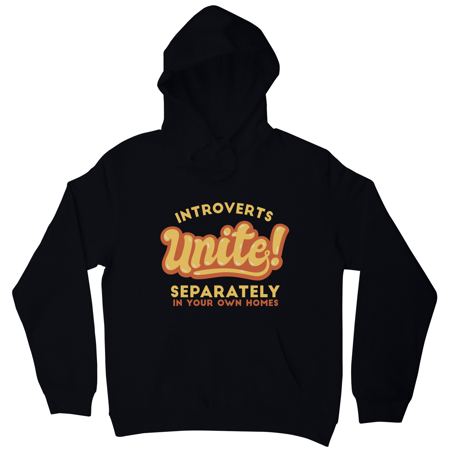 Introverts funny quote hoodie