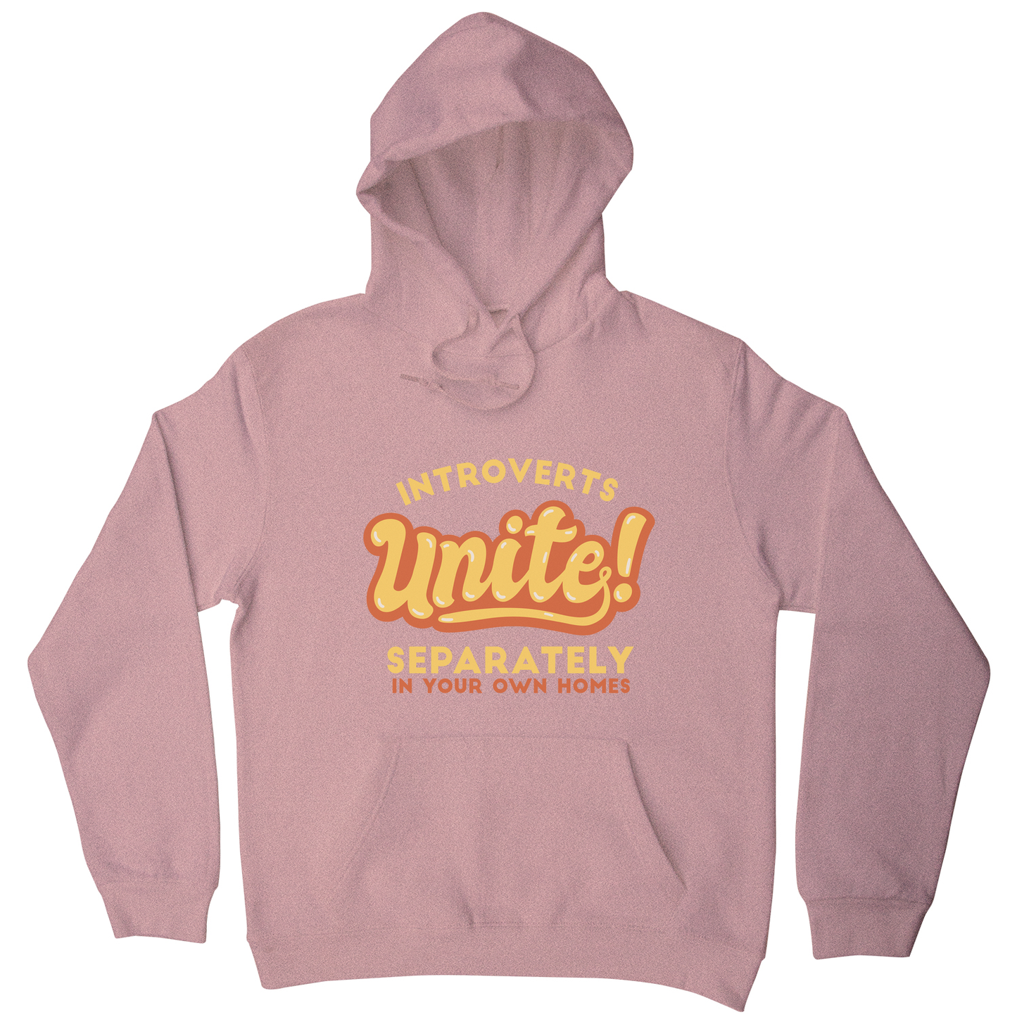 Introverts funny quote hoodie