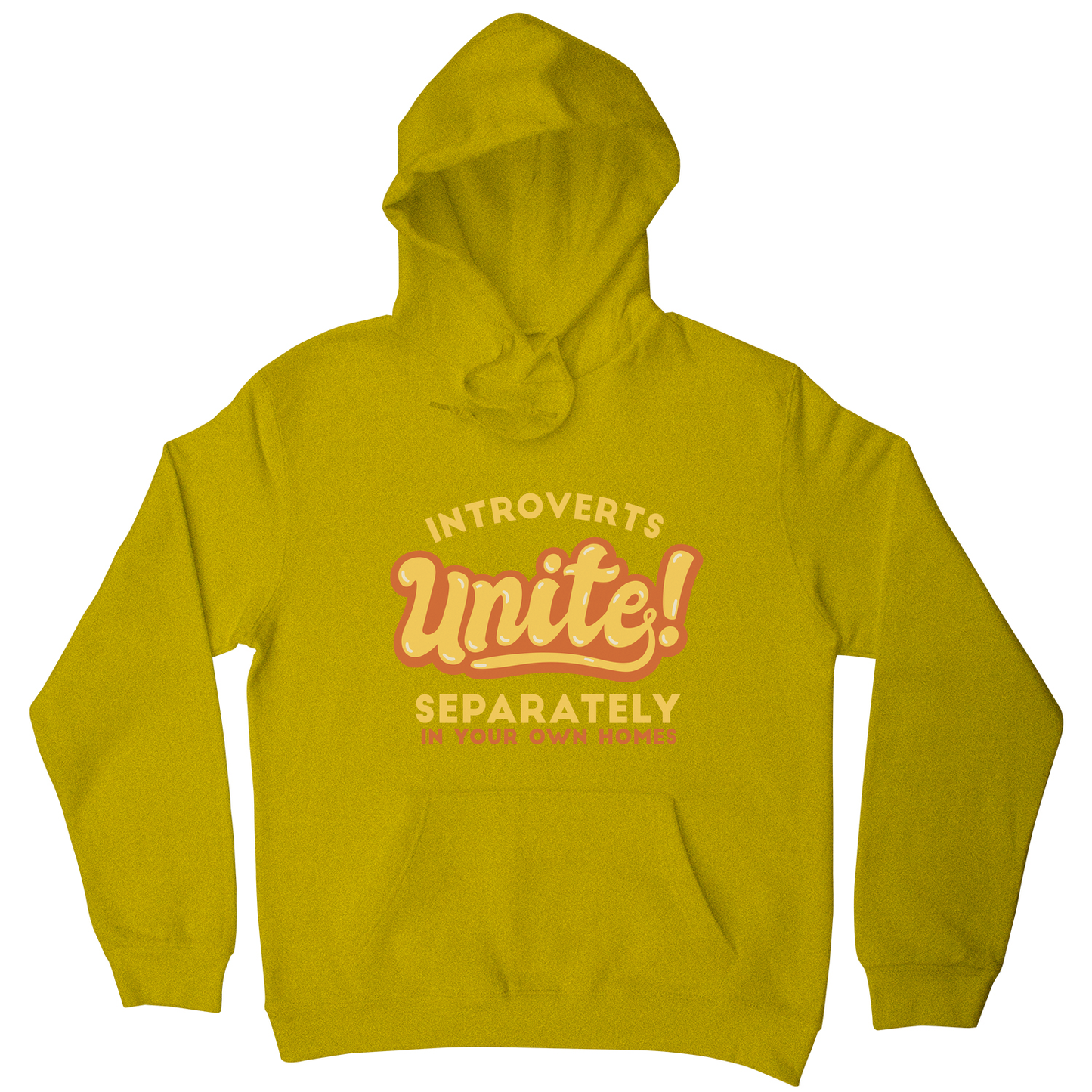 Introverts funny quote hoodie