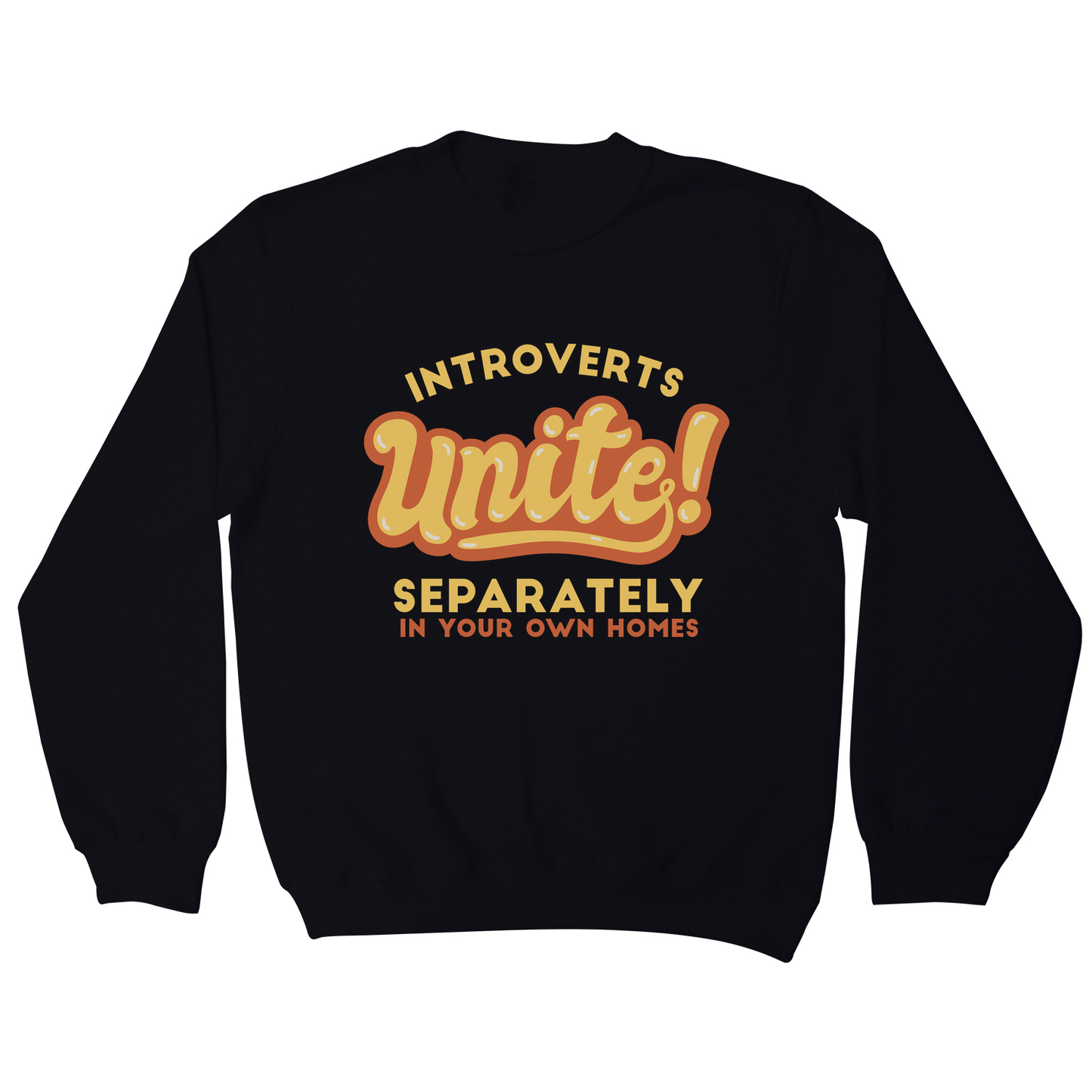 Introverts funny quote sweatshirt