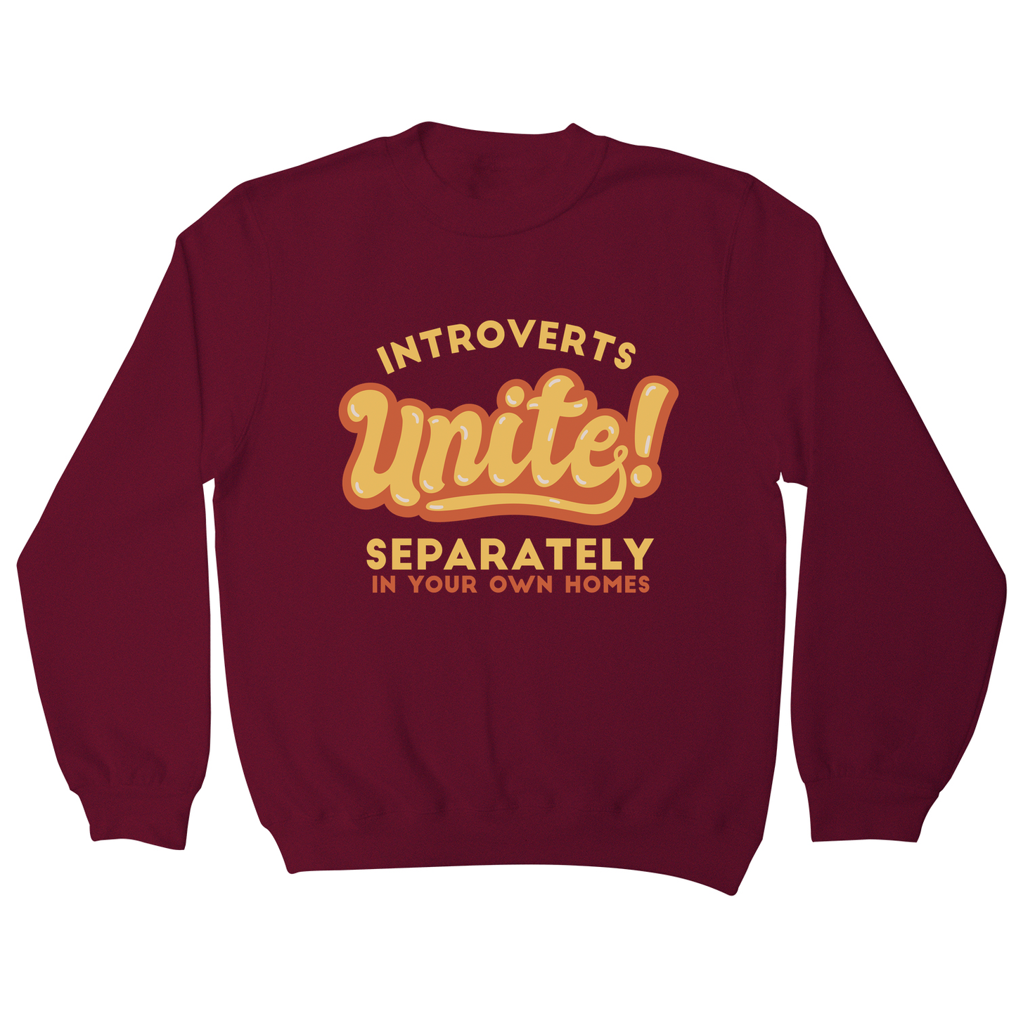 Introverts funny quote sweatshirt
