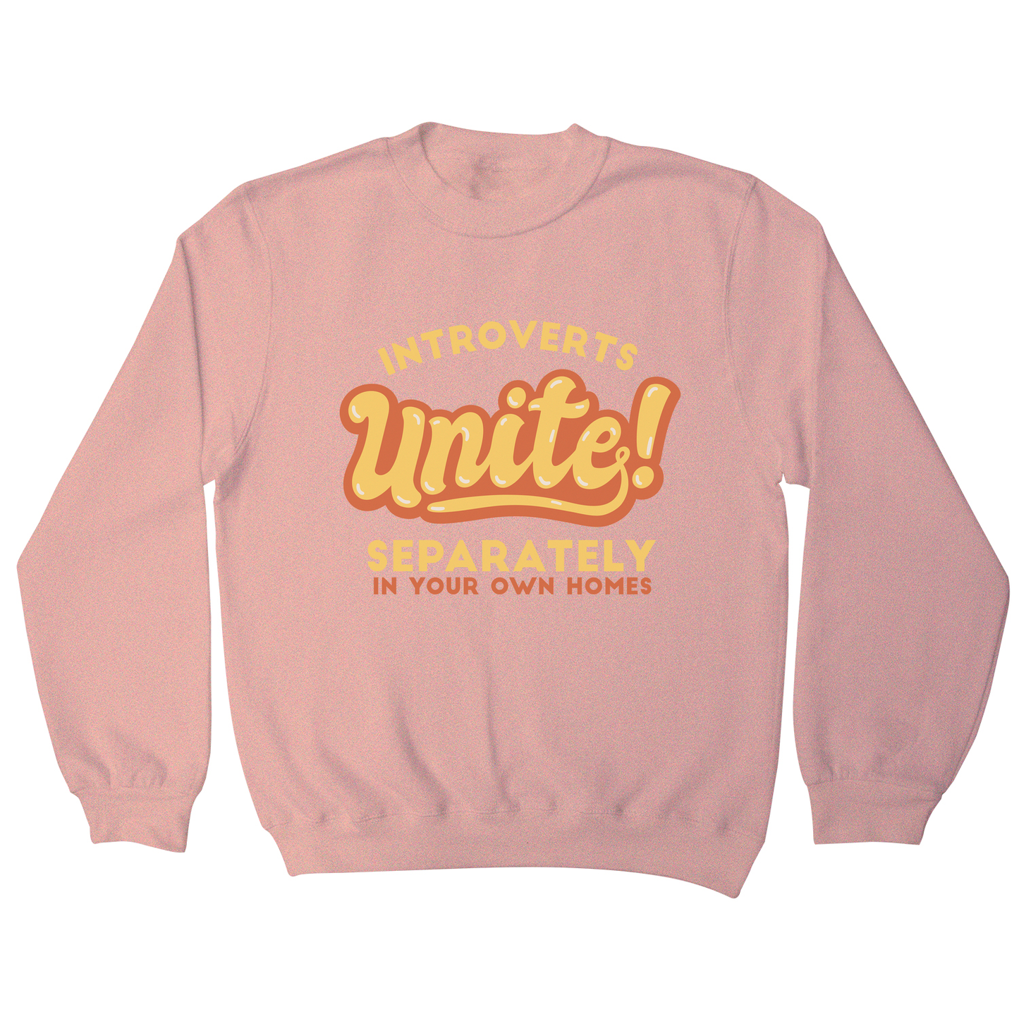 Introverts funny quote sweatshirt