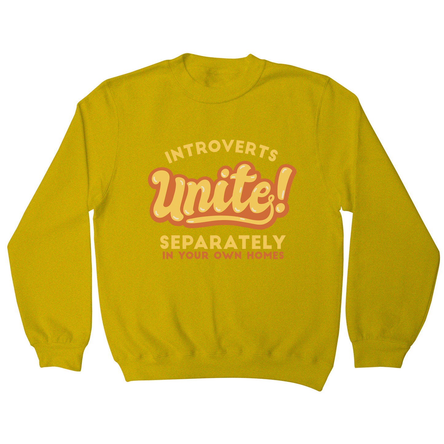 Introverts funny quote sweatshirt