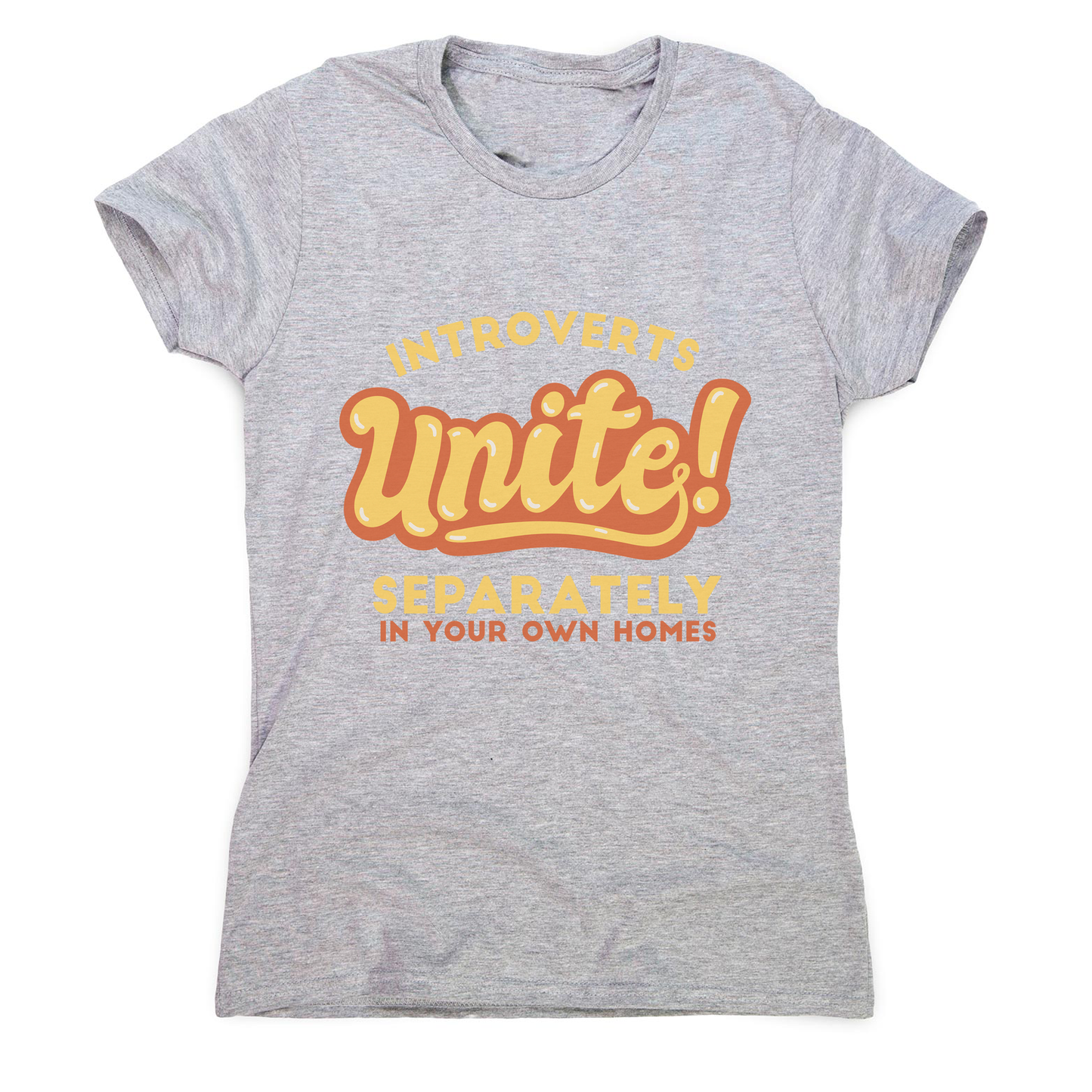 Introverts funny quote women's t-shirt
