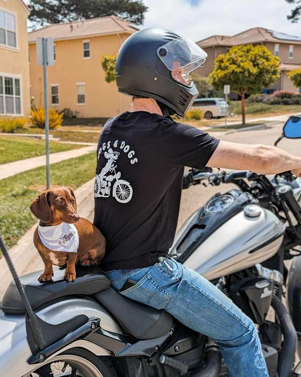 hogs & dogs unisex tee