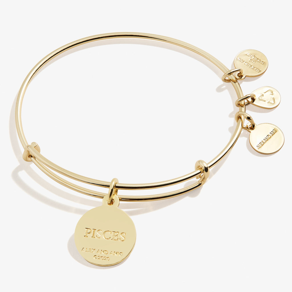Pisces Zodiac Charm Bangle