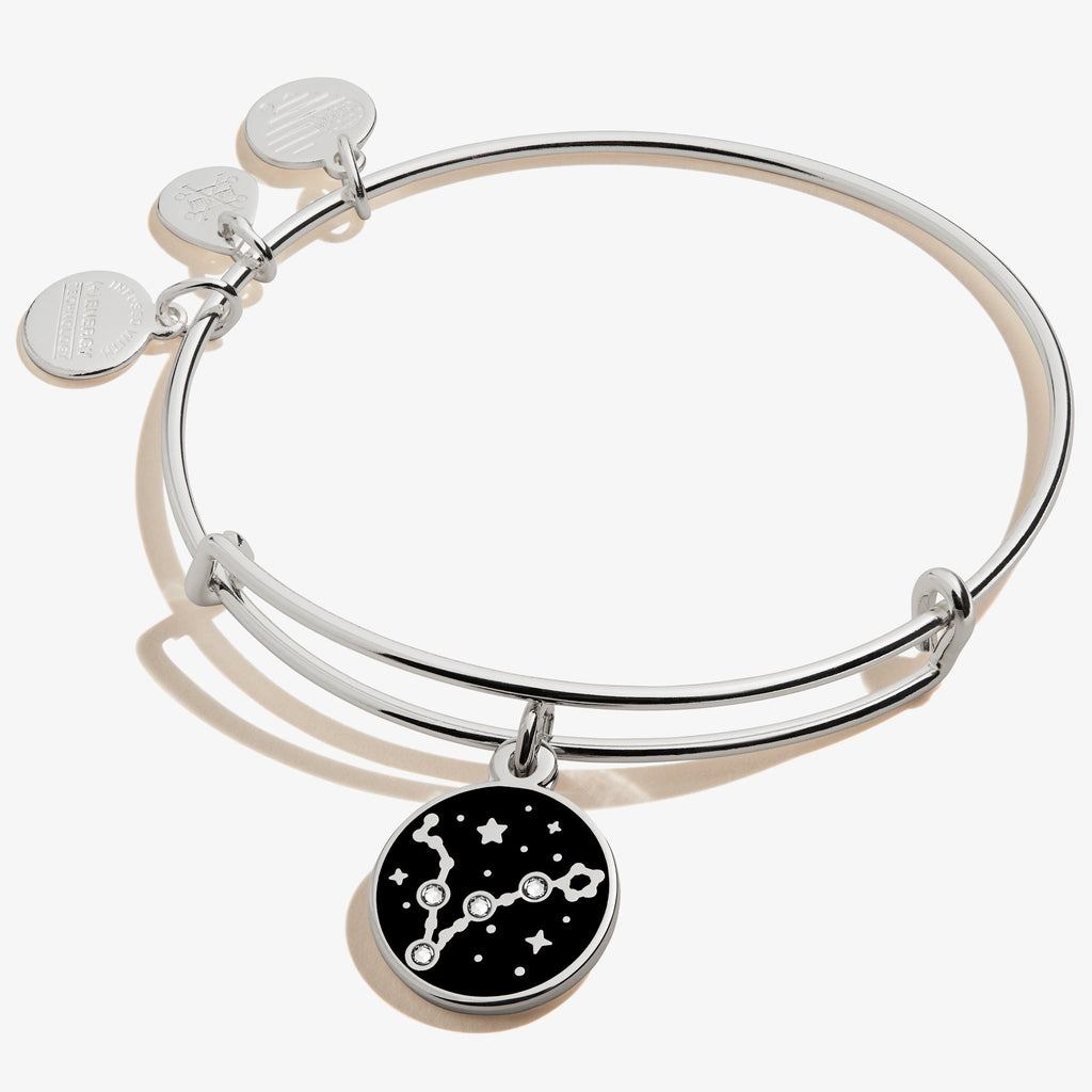 Pisces Zodiac Charm Bangle