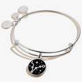 Pisces Zodiac Charm Bangle