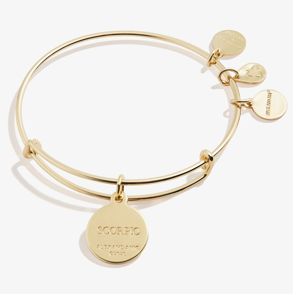 Scorpio Zodiac Charm Bangle