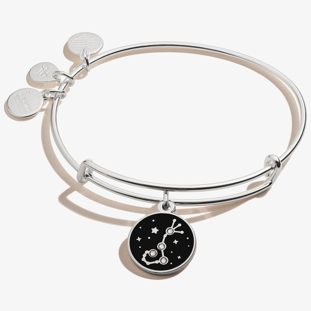 Scorpio Zodiac Charm Bangle