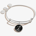 Scorpio Zodiac Charm Bangle
