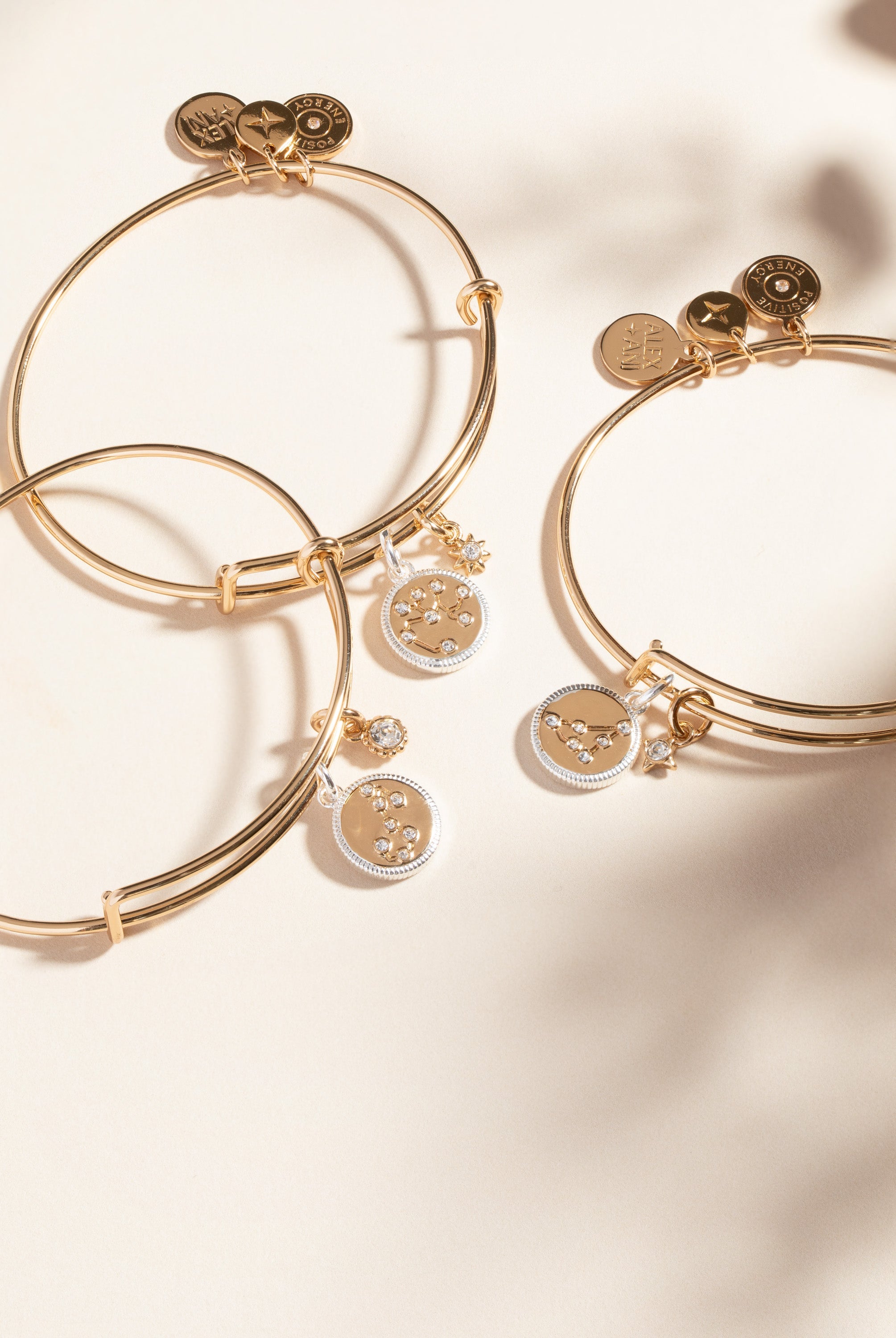 Capricorn Zodiac Charm Bangle