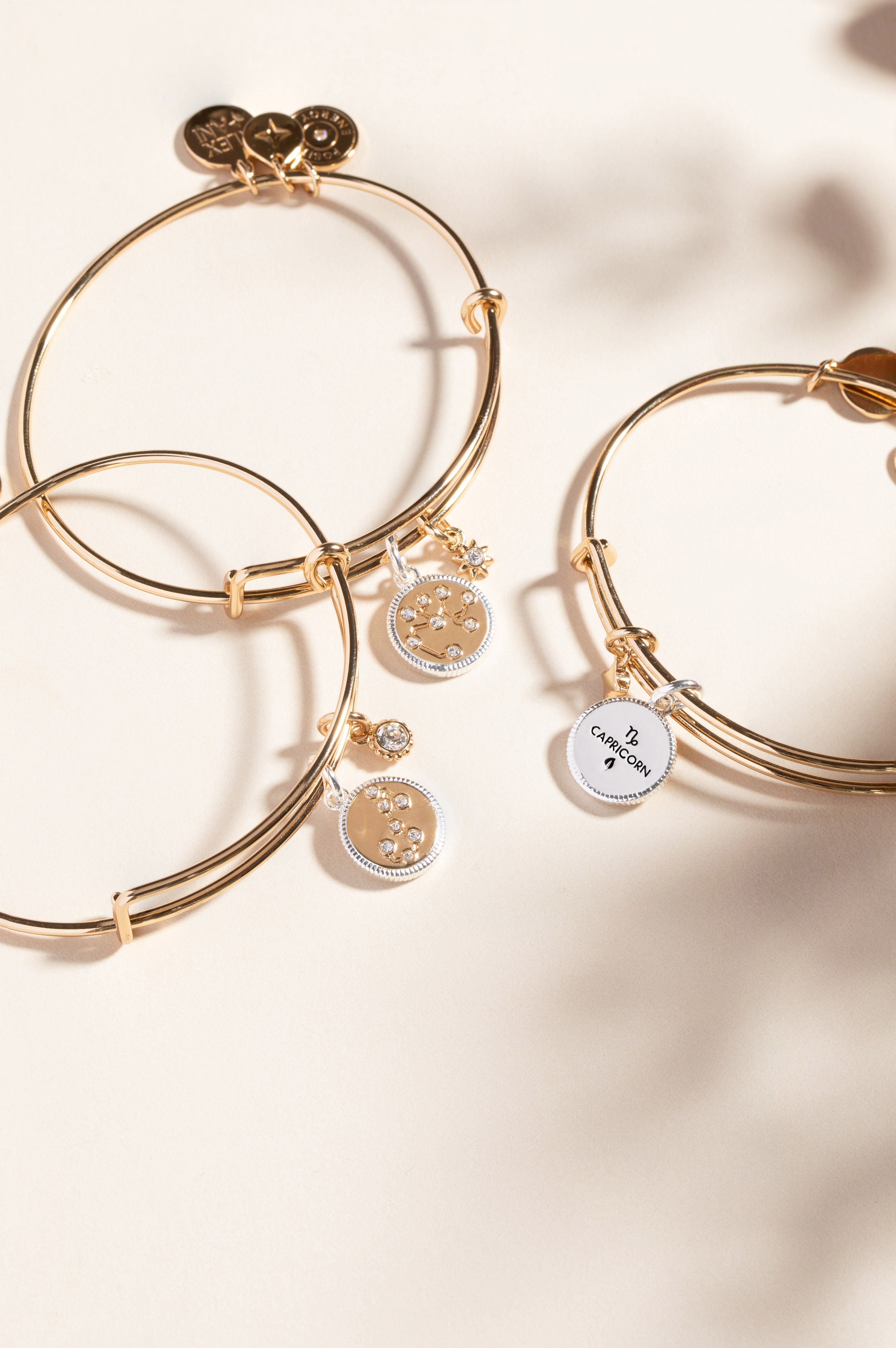 Capricorn Zodiac Charm Bangle