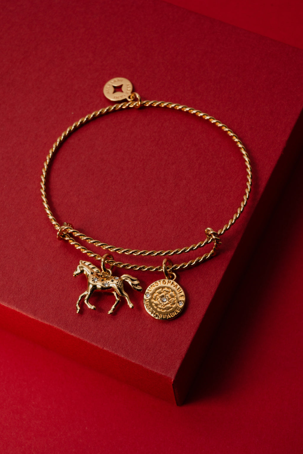 Horse Rope Textured Charm Bangle