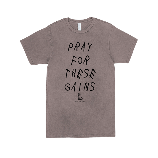 Pray For These Gains Vintage Tee
