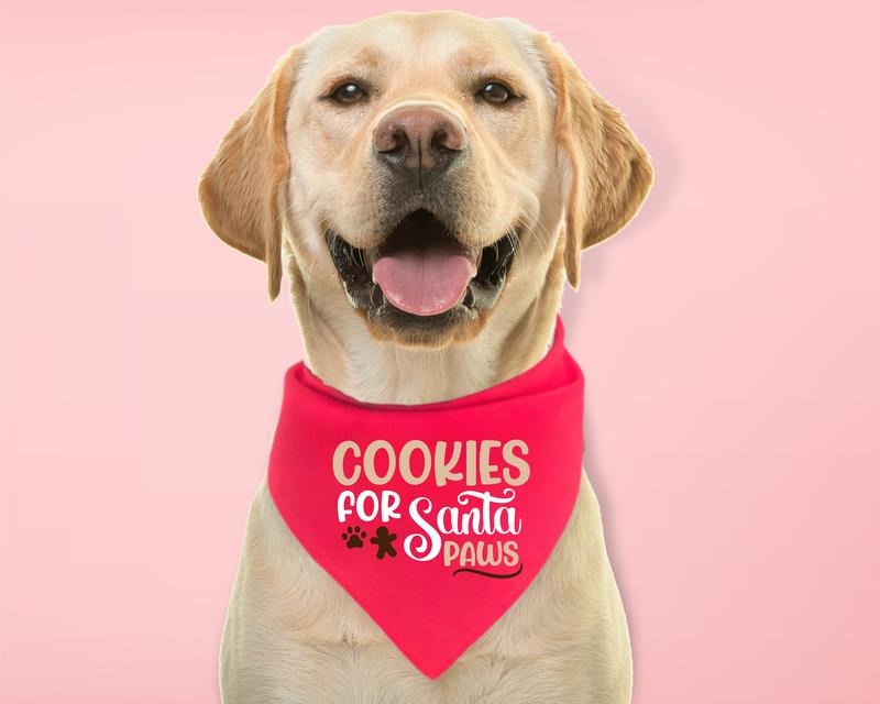 Cookies For Santa Paws Bandana, Christmas Dog Bandana, Cute Puppy Neck Scarf, Pet Gift Accessories, Dog Holiday Bandana.