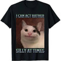 Funny Cat Graphic Tee, I Can Act Rather Silly at Times Shirt