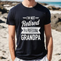 I'm Not Retired I'm A Professional Grandpa Tshirt, Grandpa Gift, Father's Day Gifts Shirts For Pops, Unisex Short Sleeve Tee, Crewneck Top
