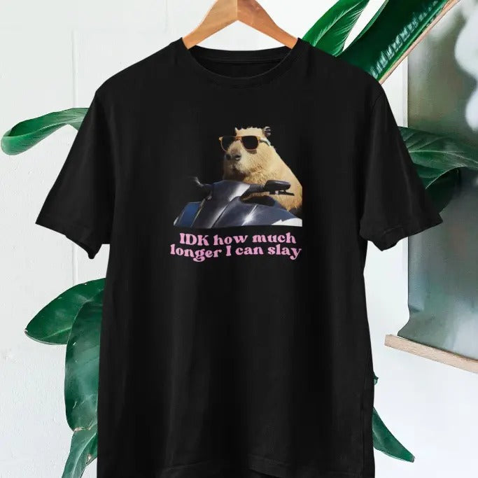 IDK How much longer I can slay T-shir, Funny Capybara Slay T-shirt