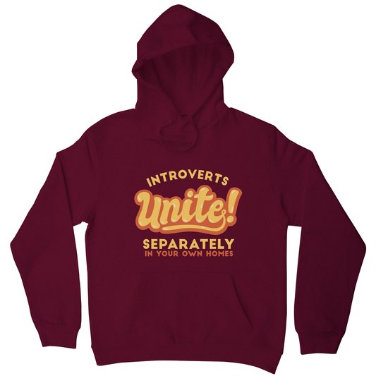 Introverts funny quote hoodie