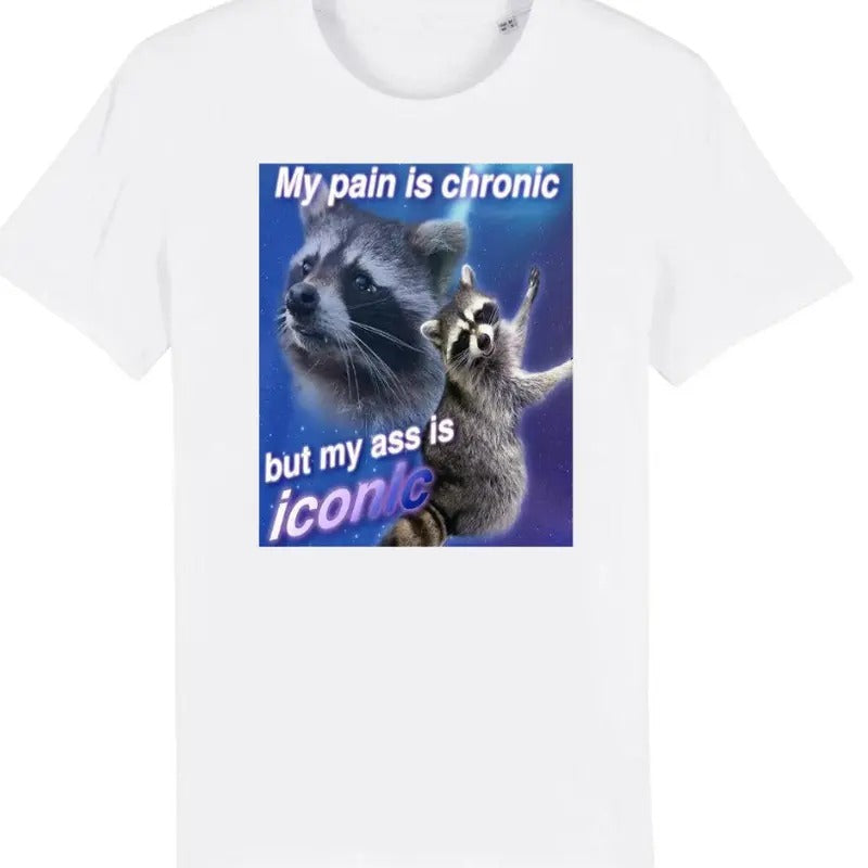 My Pain Is Chronic But My Ass Is Iconic Funny Raccoon Meme T-Shirt