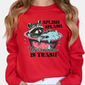 Retro Funny Raccoon Shirt Sweatshirt Hoodie, Splish Splash Your Opinion Is Trash, Funny Trash Panda Shirt, All Season Outfit
