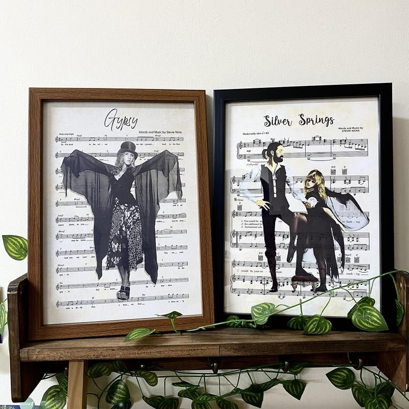 Silver Spring Stevie Nicks Poster Canvas, Stevie Nicks Poster