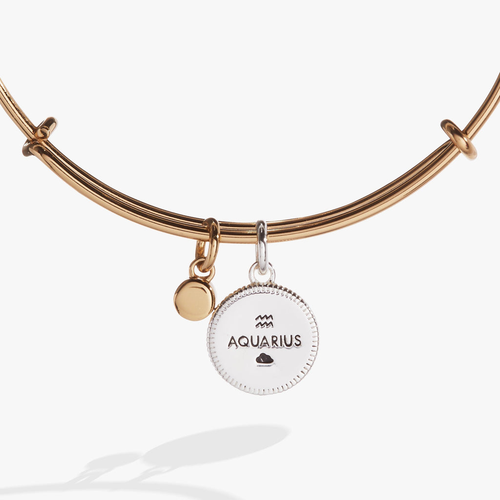 Aquarius Zodiac Charm Bangle