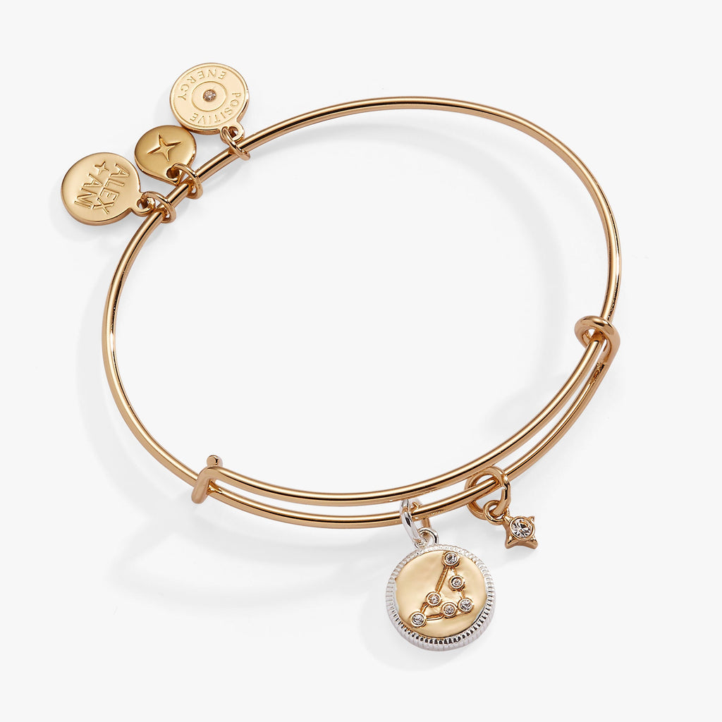 Capricorn Zodiac Charm Bangle