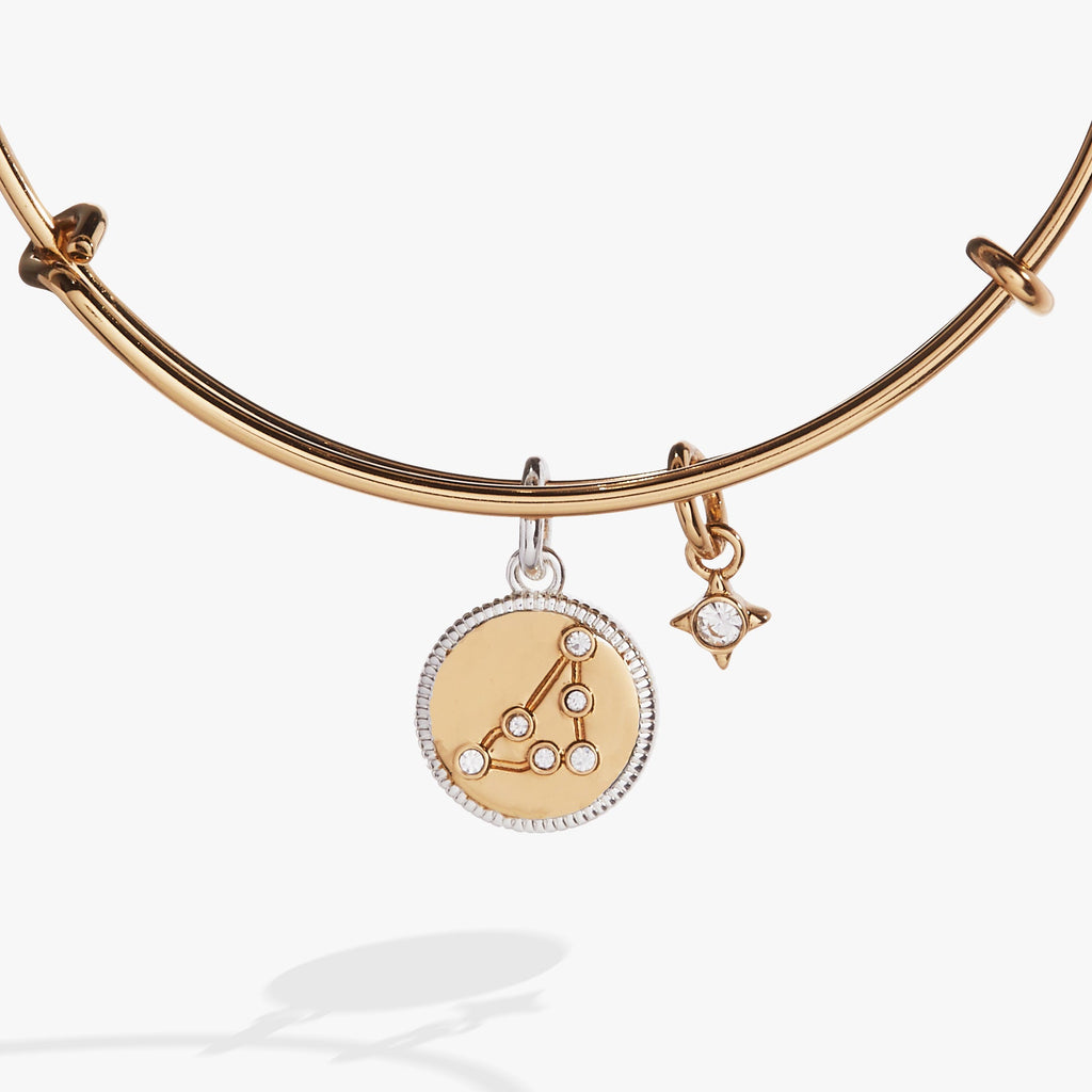 Capricorn Zodiac Charm Bangle