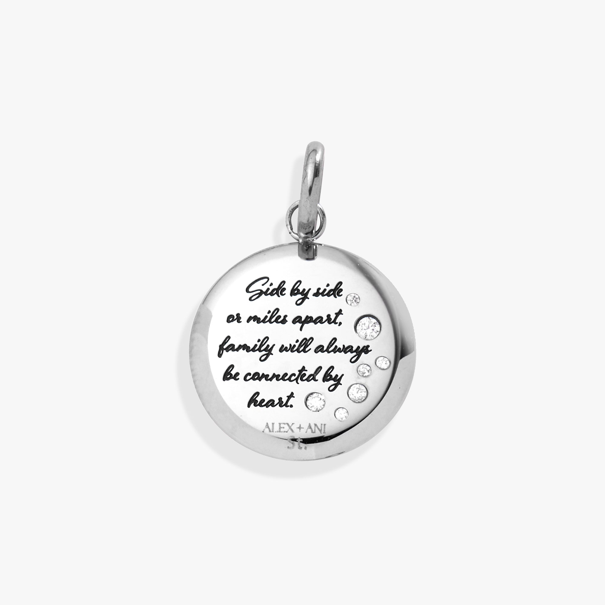 Sister Dragonfly Disc Charm