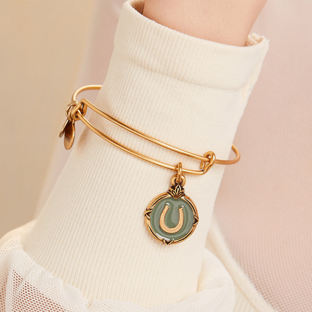 Token of Luck Horseshoe Charm Bangle