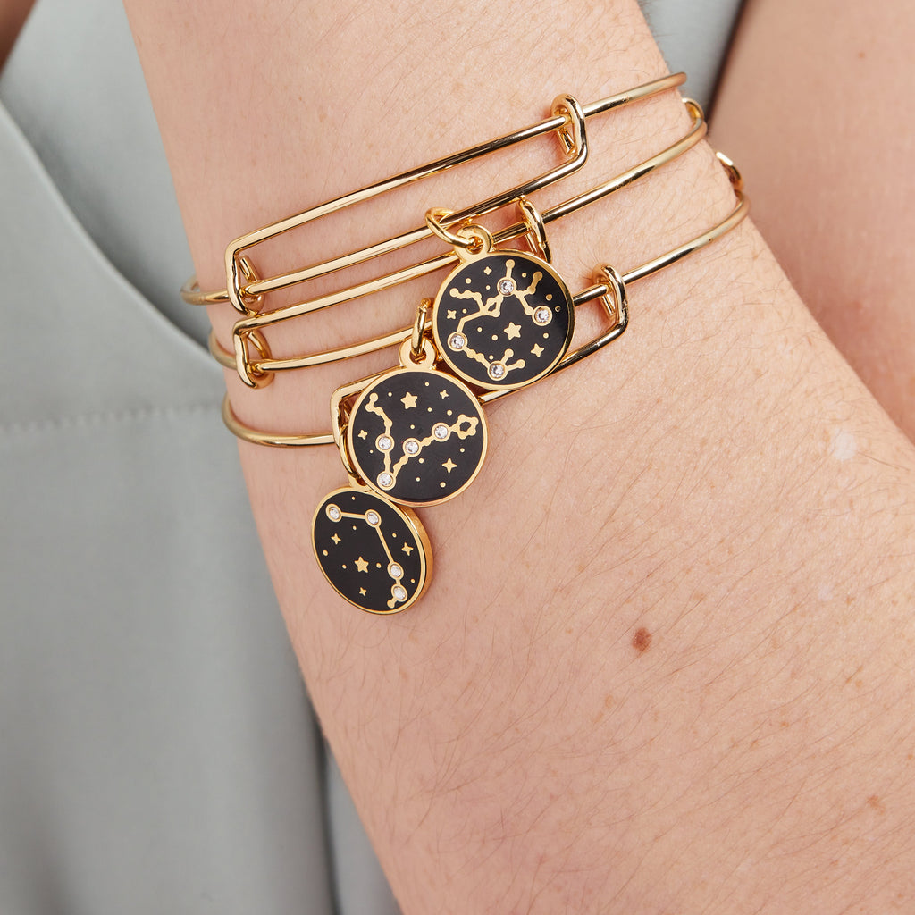 Pisces Zodiac Charm Bangle